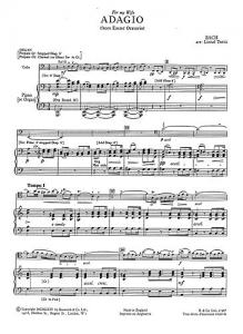 J.S Bach: Adagio From The Easter Oratorio (Cello/Piano)