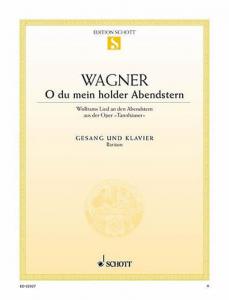 Richard Wagner: O du mein holder Abendstern from Tannh