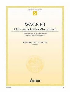 Richard Wagner: O du mein holder Abendstern from Tannh