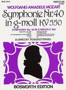W.A. Mozart: Symphony In G Minor No.40 (1st Movement)