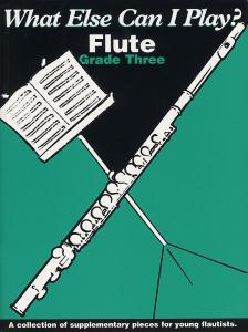 What Else Can I Play? Flute - Grade Three
