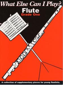 What Else Can I Play? Flute Grade One