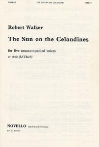 Robert Walker: Sun On The Celandines