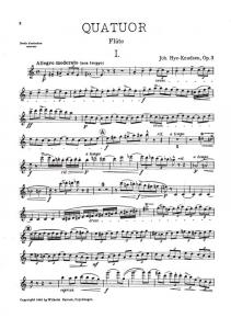 Johan Hye-Knudsen: Quartet Op.3 (Score)