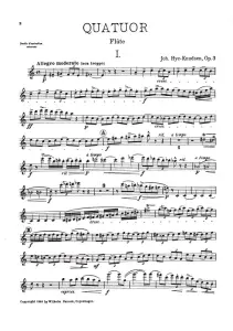 Johan Hye-Knudsen: Quartet Op.3 (Score)
