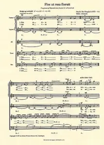 Per Nørgård: Flos Ut Rosa Floruit