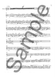 Sunleif Rasmussen: Vetrermyndir (Parts)