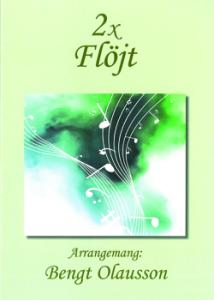 2 x Flöjt