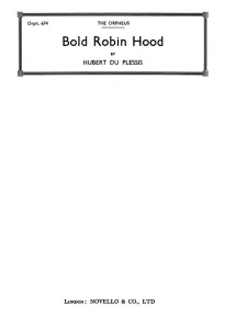 Hubert Du Plessis: Bold Robin Hood