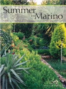 Summer In Marino