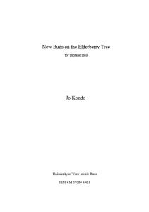 Jo Kondo: New Buds On The Elderberry Tree