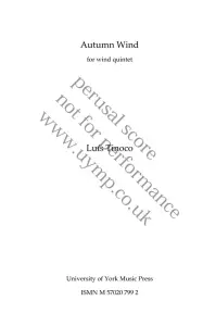 Lu&iacute;s Tinoco: Autumn Wind