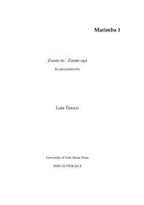 Luís Tinoco: Zoom in - Zoom out (Parts)