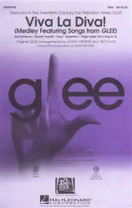 Glee Cast: Viva La Diva! (Medley Featuring Songs From Glee)