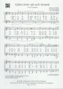 Ivar Wid&eacute;en: Gl&auml;ns &ouml;ver sj&ouml; och strand (SSAA)