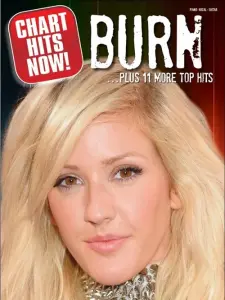 Chart Hits Now! Burn ...Plus 11 More Top Hits
