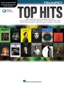 Hal Leonard Instrumental Play-Along: Top Hits - Trumpet (Book/Online Aud