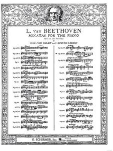 Beethoven: Piano Sonata In G Minor Op.49 No.1