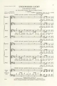 Robert Schumann: Ungewisses Licht Op.141 No.2