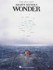 Shawn Mendes Wonder