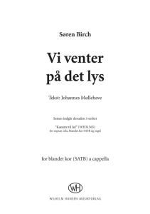 Søren Birch: Vi Venter På Det Lys