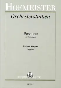 Wagner: Orchestral Studies - Seigfried