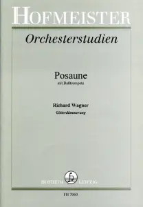 Wagner: Orchestral Studies - Gotterdammerung