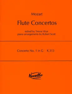 W.A. Mozart: Concerto No.1 In G K.313