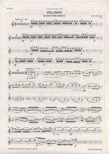 John McCabe: Pilgrim String Sextet (Score)