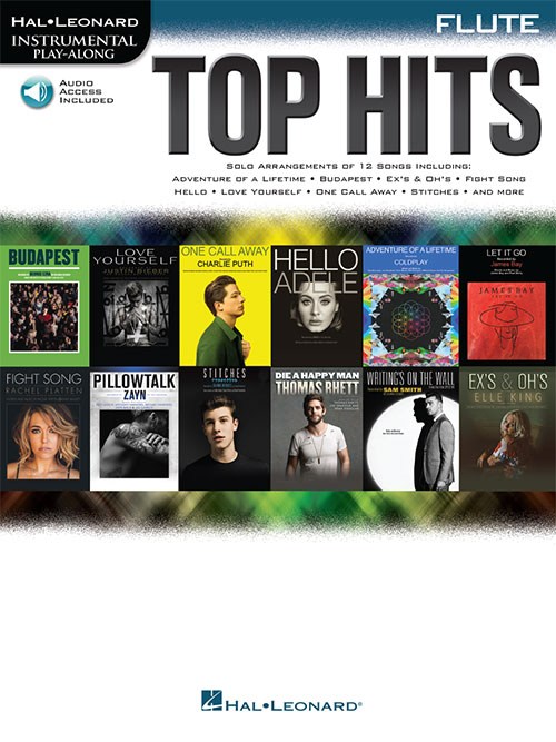 Hal Leonard Instrumental Play-Along: Top Hits - Flute (Book/Online Audio)