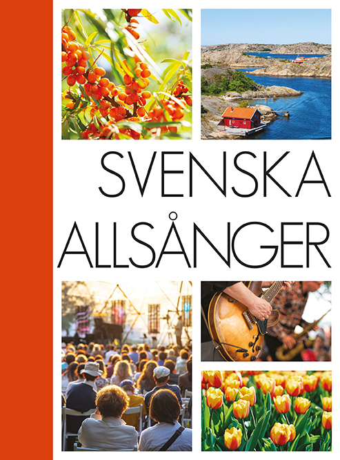 Svenska Allsnger