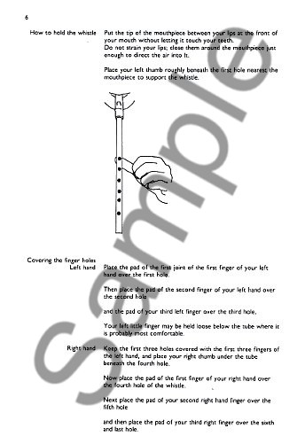 How To Play The Penny Whistle