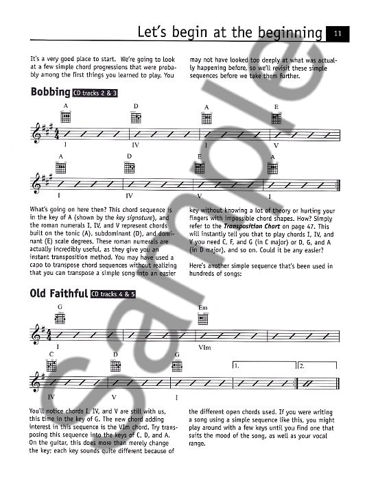 Next Step Guitar: Chords Made Easy