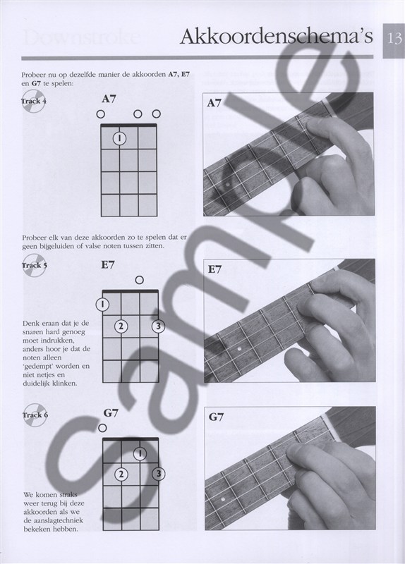 Ukulele Voor Beginner