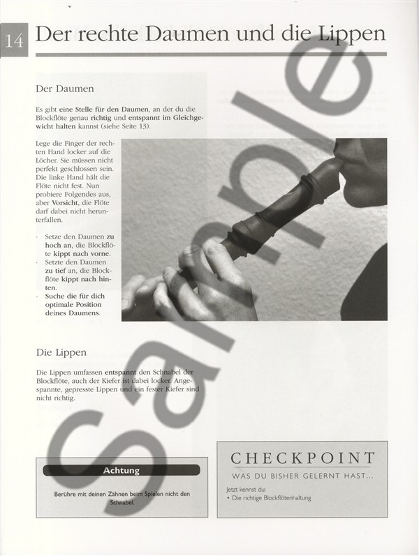 Nur Für Anfänger: Blockflöte