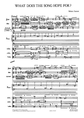 Robert Saxton: What Does The Song Hope For? (Study Score)