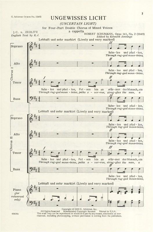 Robert Schumann: Ungewisses Licht Op.141 No.2