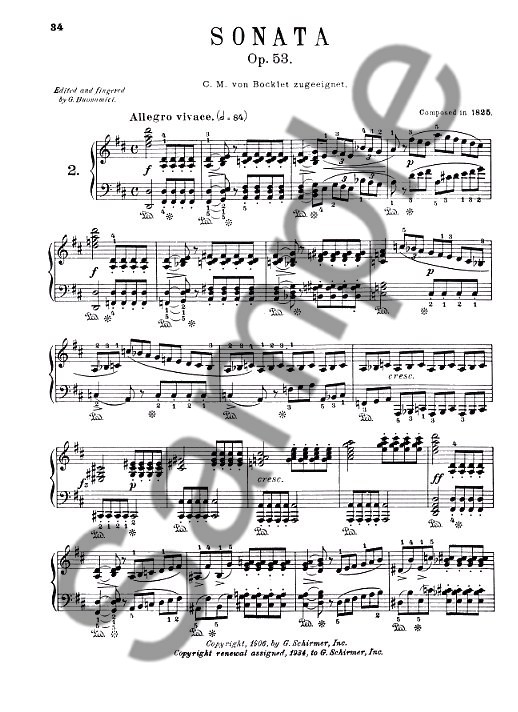 Franz Schubert: Sonatas For The Piano