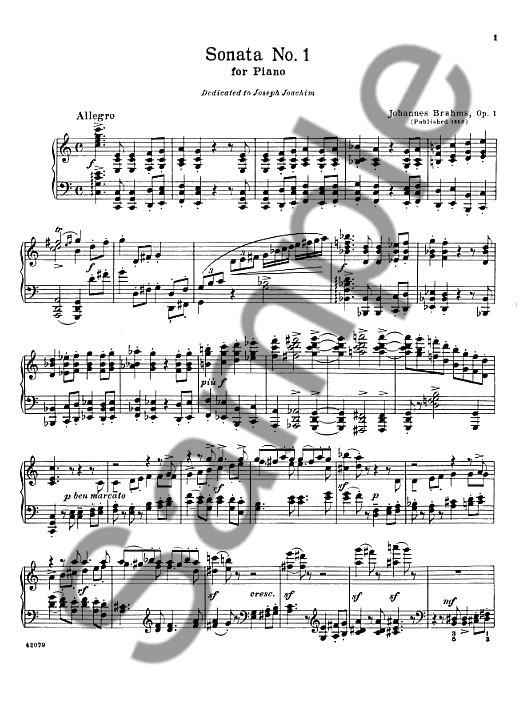 Johannes Brahms: Complete Works For Piano Solo Volume 1