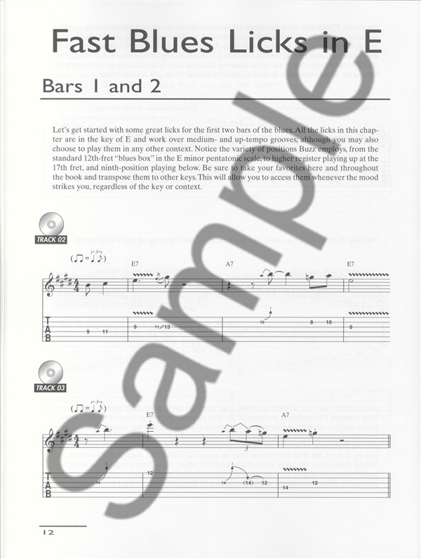 Buzz Feiten: Blues By The Bar - Master Class