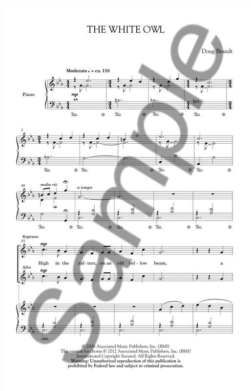 Doug Brandt: The White Owl