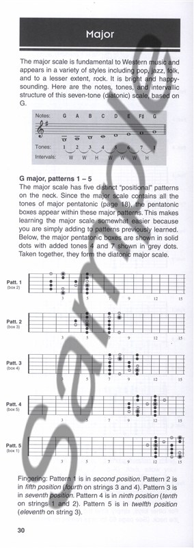 Troy Stetina: The Ultimate Scale Book