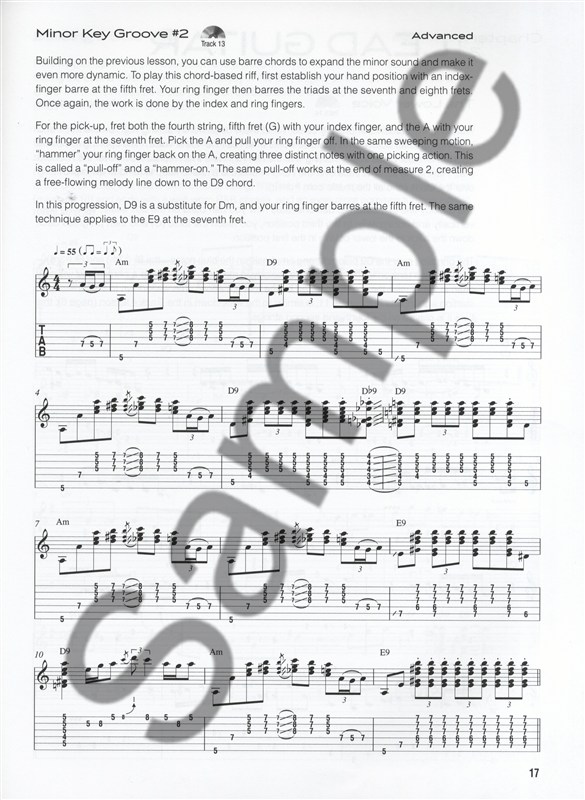 Rich DelGrosso: Blues Guitar Lesson Anthology (Book/CD)