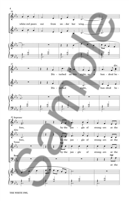 Doug Brandt: The White Owl