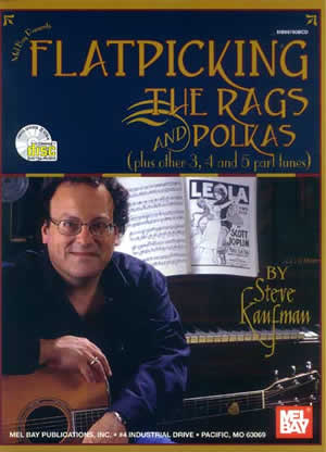 Steve Kaufman: Flatpicking The Rags And Polkas