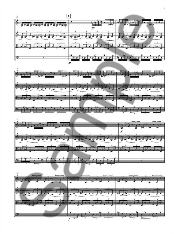 Kevin Volans: String Quartet No.10- Full Score
