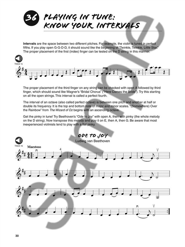 101 Violin Tips: Stuff All The Pros Know And Use