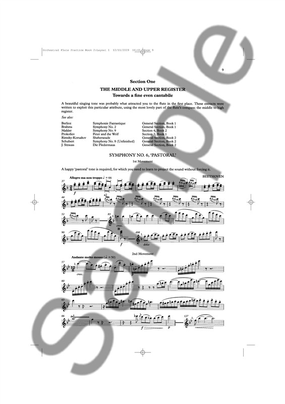 Trevor Wye: The Orchestral Flute Practice Book 2