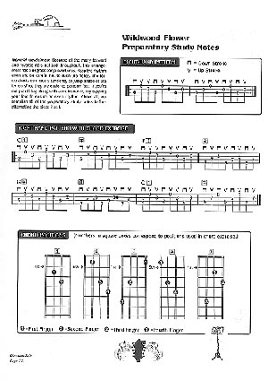 Mandolin Crosspicking Technique