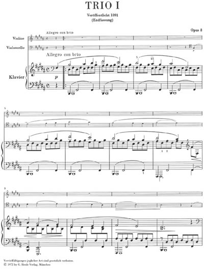 Brahms: Klaviertrios
